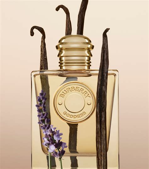 where to buy burberry goddess perfume|original burberry perfume for women.